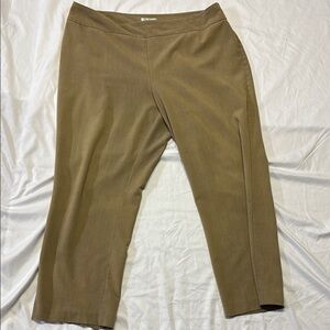 Dressbarn Classic Tan Trousers